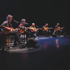 Five Great Guitars