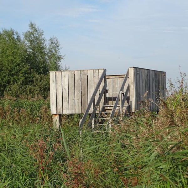 Uitkijkpunt Leyensloane De Leijen Opeinde