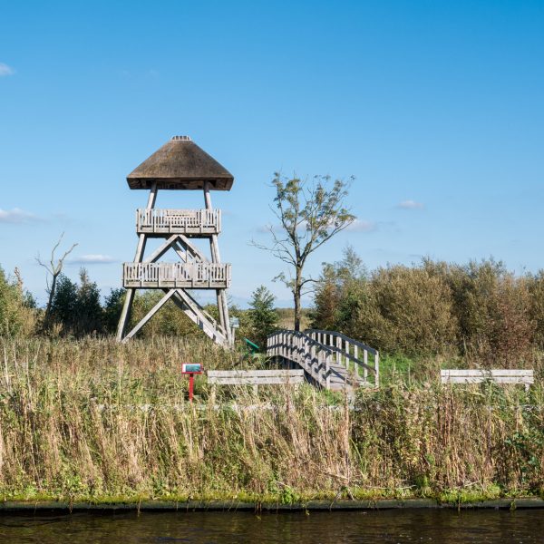 Wooden watch tower Romsicht with viewing platform in nature reserve national park Alde Feanen in Friesland, Netherlands