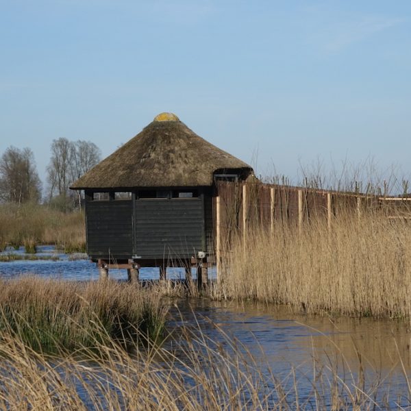 Vogelkijkhut Kraanlannen De Veenhoop