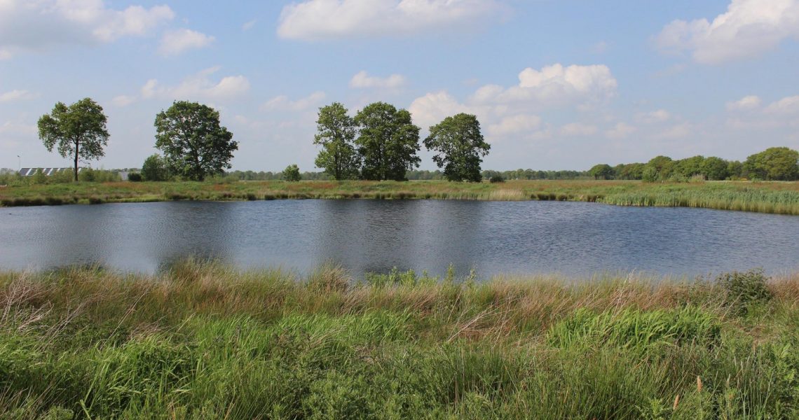 headerskiedingsboskje-1605x885_1393102220